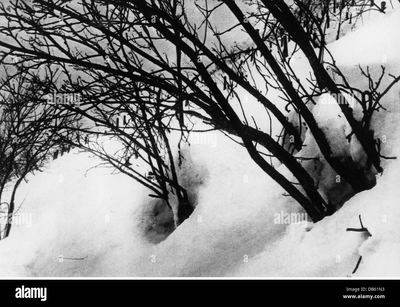 Catastrophes, avalanches, prévention, plantation de cendres de montagne, Suisse, années 1930, droits additionnels-Clearences-non disponible Banque D'Images