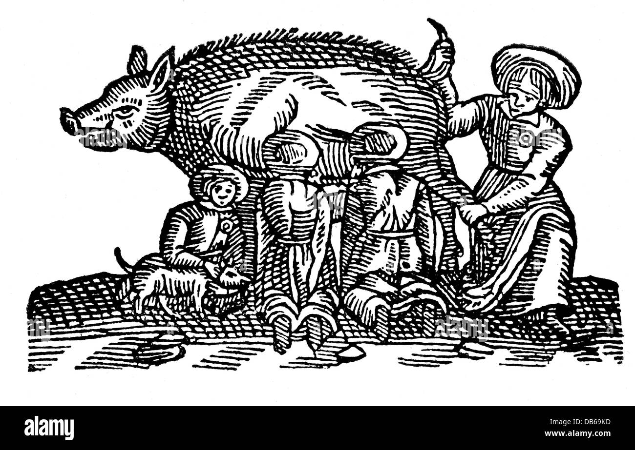 Judaïsme, antisémitisme, 'le porc juif', Wittenberg, Allemagne, 16ème siècle, , droits additionnels-Clearences-non disponible Banque D'Images