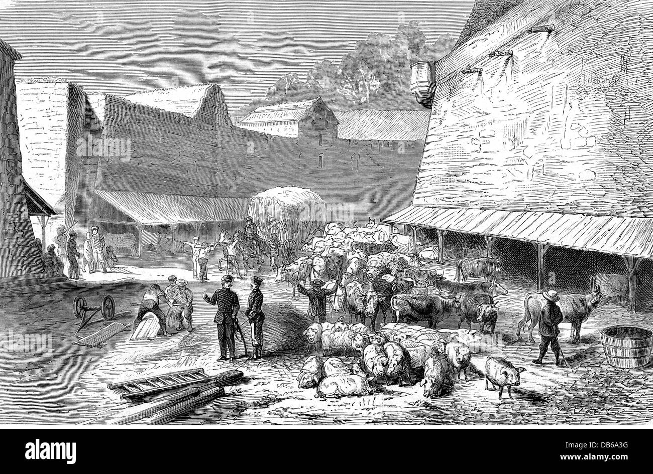 Evénements, guerre franco-prussienne 1870 - 1871, fournitures, bétail dans une forteresse allemande au Rhin, gravure de bois après un croquis d'Otto Guenther, 1870, droits additionnels-Clearences-non disponible Banque D'Images