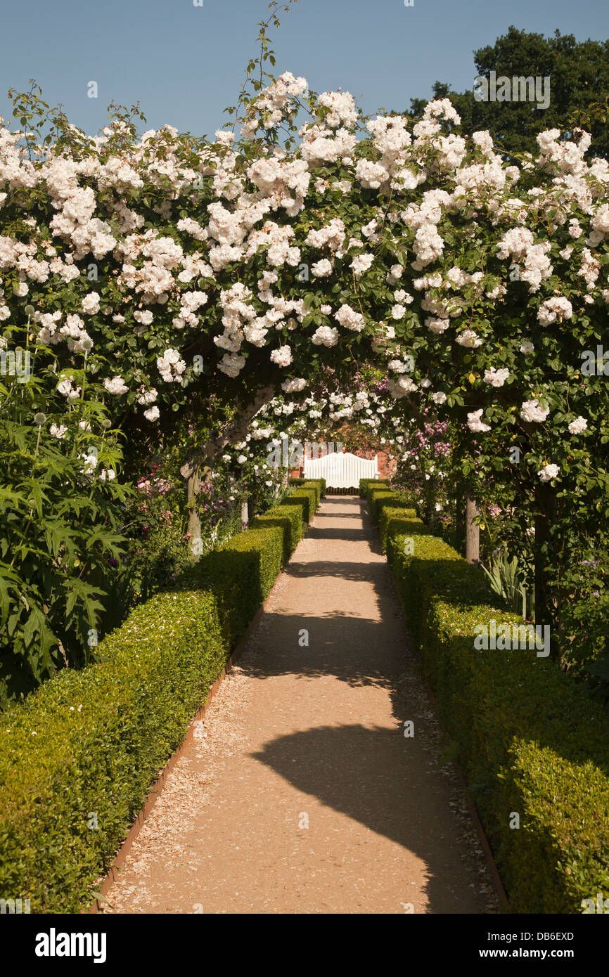 Arcades couvertes de Rose dans le jardin clos à Mottisfont Abbey Hampshire Banque D'Images