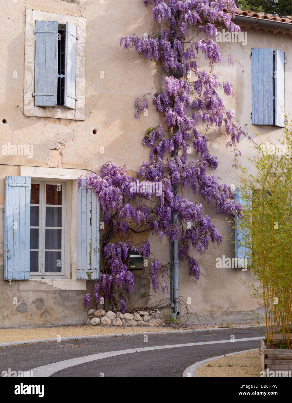 Hameau Provençal calme. Un mur dans un village calme au coeur de la Provence. Wisteria remonte un tuyau de vidange. Banque D'Images