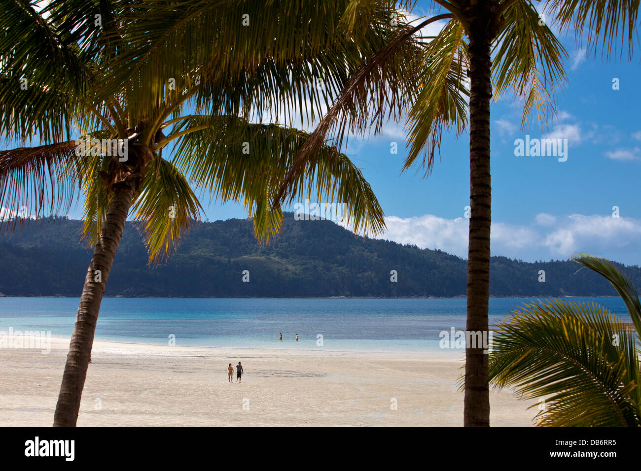 Les touristes de détente à la plage de Catseye. Hamilton Island, Whitsunday Islands, Queensland, Australie Banque D'Images