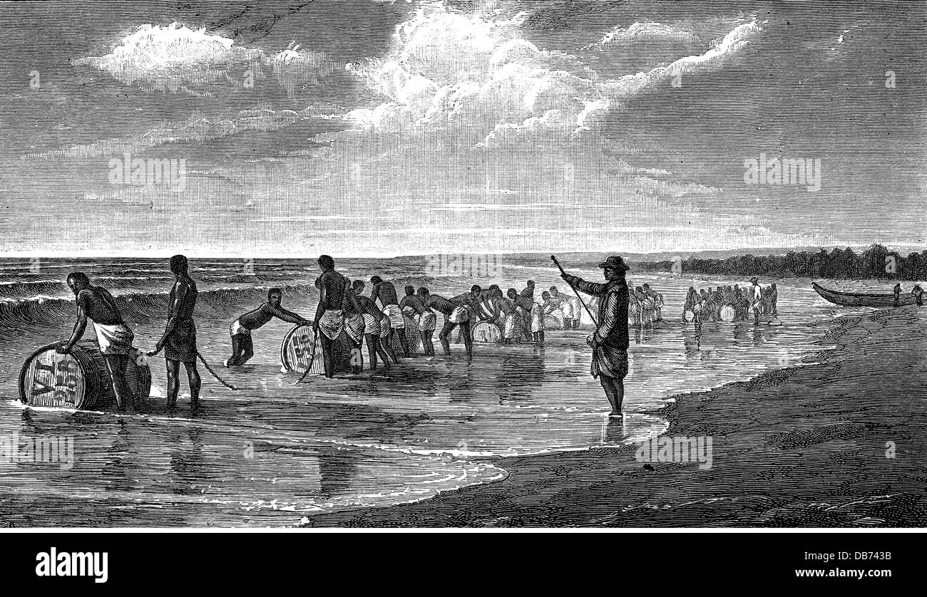 Énergie, pétrole brut, forage derrick, expédition de pétrole à la plage de Luango, gravure de bois, fin du XIXe siècle, 19e siècle, Afrique centrale, extraction de pétrole, production de pétrole, pétrole brut, naphta brut, pétrole brut, pétrole de base, pétrole roc, pétrole brut, pétrole, ressource, affecter des ressources, matière première, matières premières, matières premières, matières premières, côtes, côtes, côtes, côtes, côtes, côtes, côtes, côtes plage, plages, chargement, chargement, baril de pétrole, barils de pétrole, barils de pétrole, baril de pétrole percé, mer, mer, bateau, bateaux, esclaves, esclave, esclavage, historique, historique, homme, hommes, hommes, personnes, droits additionnels-Clearences-non disponible Banque D'Images