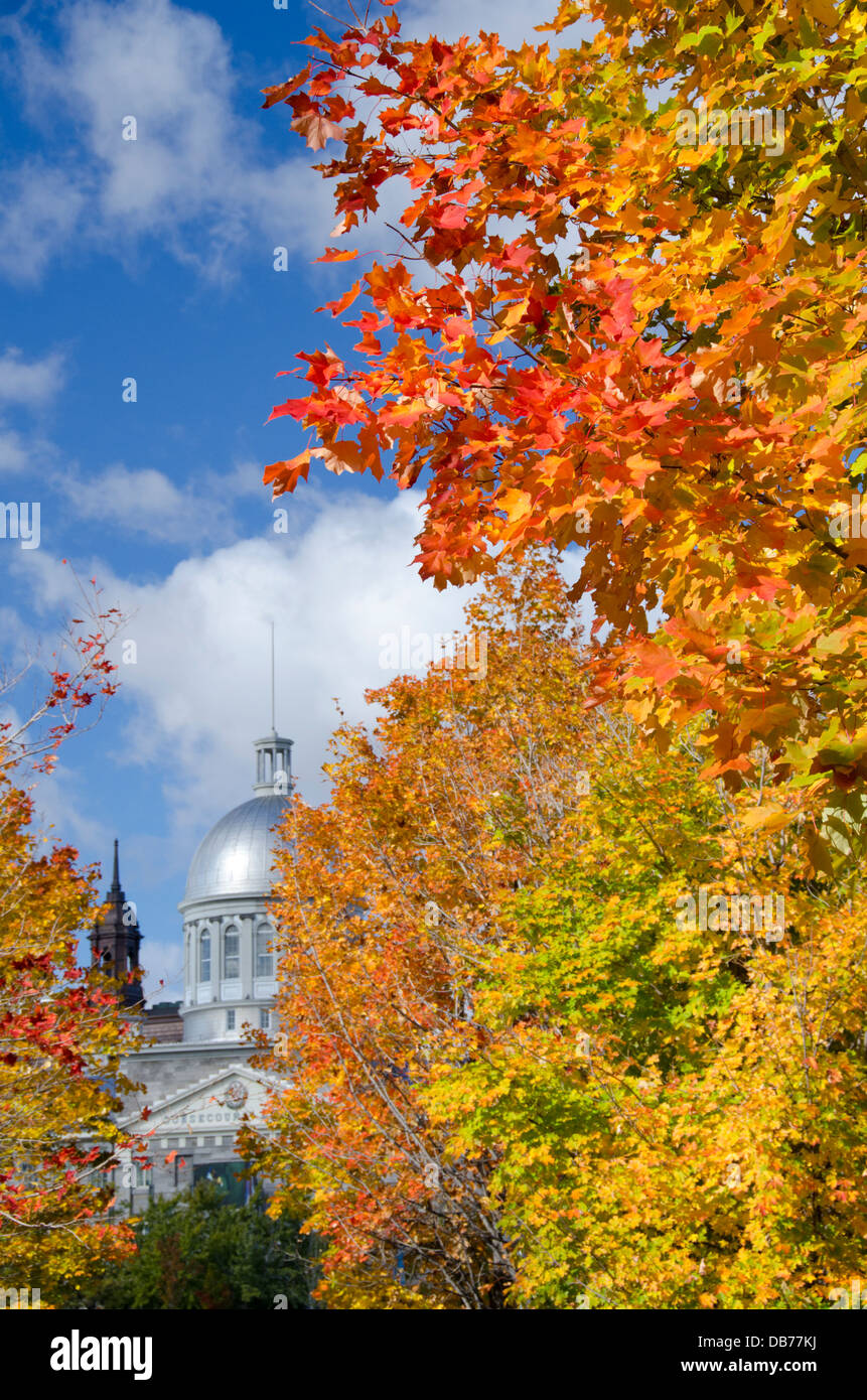 Canada, Québec, Montréal. L'argent de style néo-Renaissance dôme de Marché Bonsecours (aka Marche Bonsecours) aux couleurs de l'automne. Banque D'Images