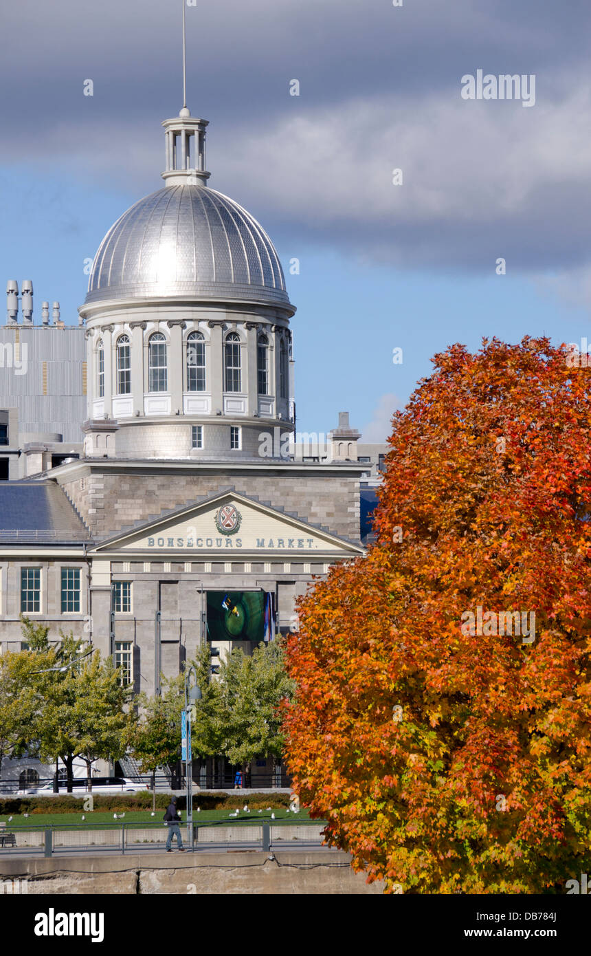 Canada, Québec, Montréal. L'argent de style néo-Renaissance dôme de Marché Bonsecours (aka Marche Bonsecours) aux couleurs de l'automne. Banque D'Images