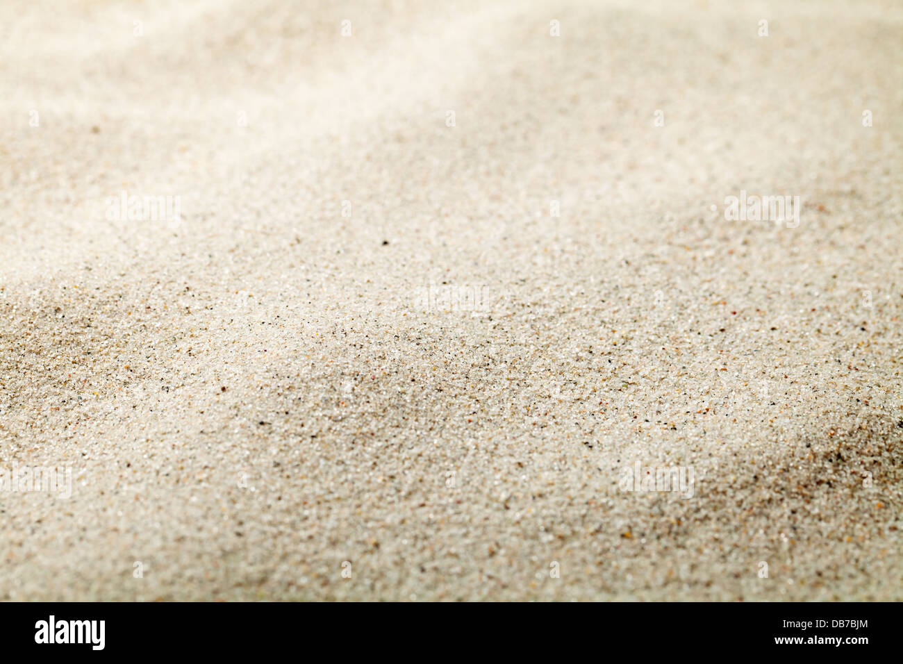 Fond de sable. Plage de sable fin de texture. Copy space Banque D'Images