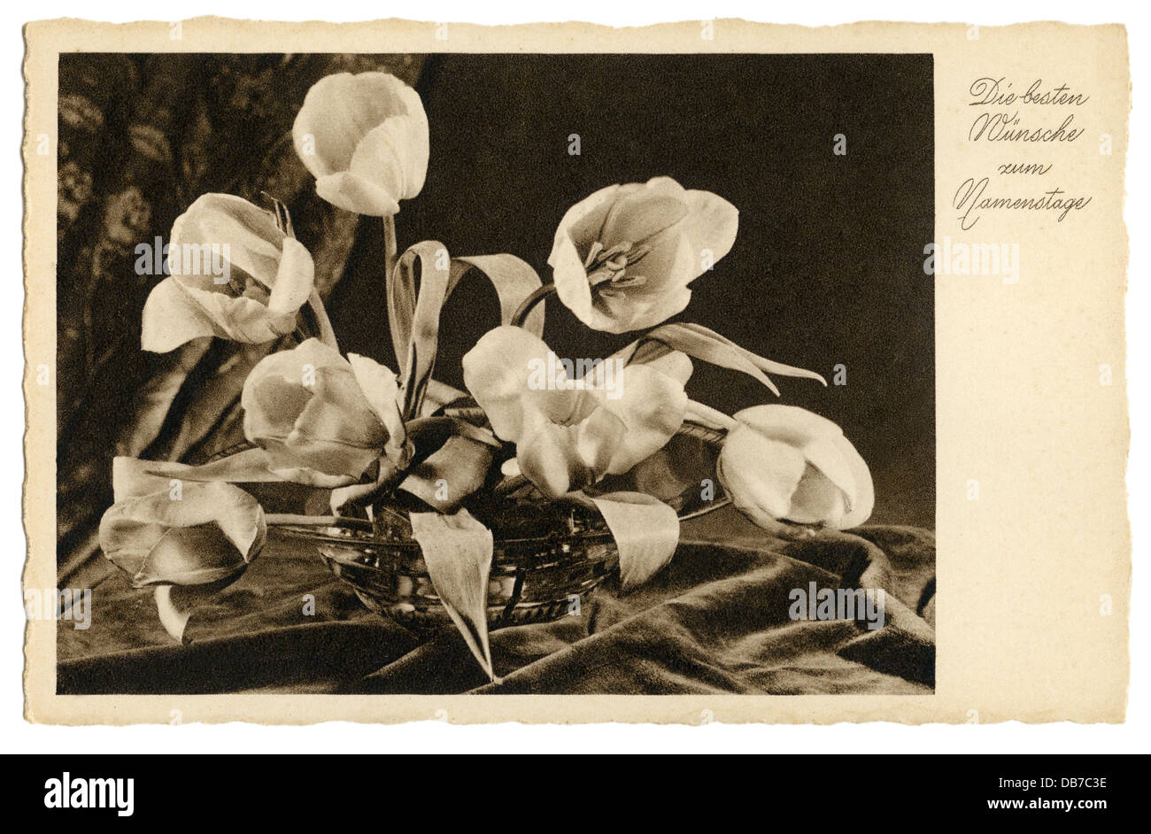 Festivités, cartes de voeux nom jour, 'Die besten Wünsche zum Namenstage' (meilleurs voeux pour votre nom jour), tulipes dans le bol, carte postale, Allemagne, années 1930, droits additionnels-Clearences-non disponible Banque D'Images