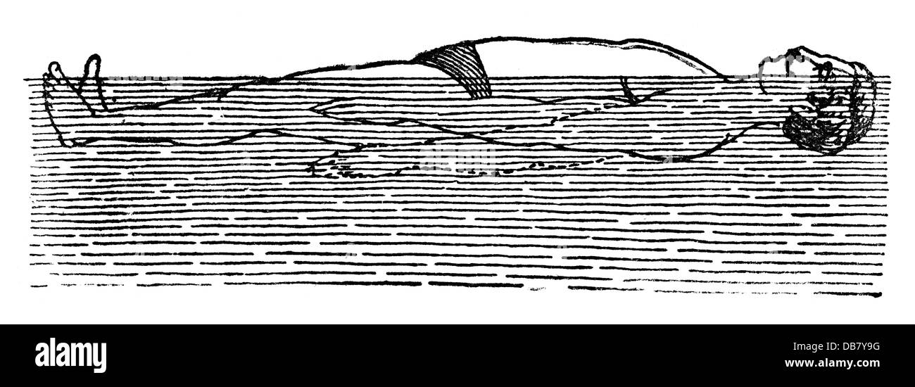 Sports, natation, contre-coup, gravure de bois, de: Friedrich Eduard Bilz, Nouveau traitement naturopathique, Leipzig, Allemagne, 1902, droits additionnels-Clearences-non disponible Banque D'Images