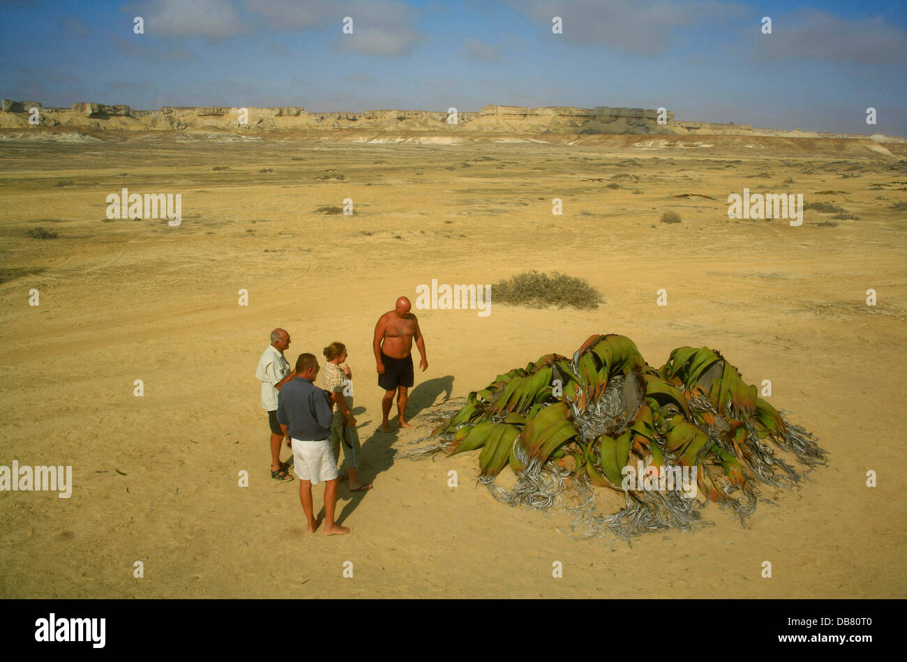 Les pays africains - Angola conditions du désert Namib Desert les touristes à partir de retourner en Angola en Angola tourisme touristes Banque D'Images