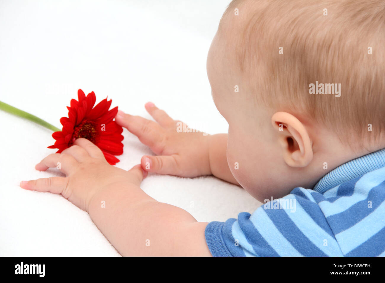 Bébé avec fleur sur lit blanc Banque D'Images