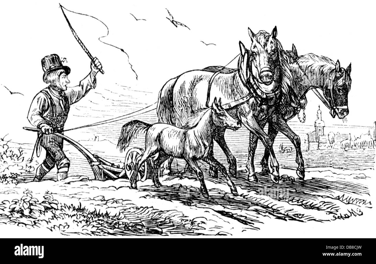 agriculture, travaux agricoles, labourage, agriculteur avec charrue belge, gravure de bois, Allemagne, 1885, droits additionnels-Clearences-non disponible Banque D'Images