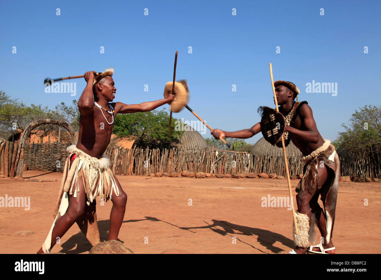Zulu men donner un exemple de stick fighting à Shakaland, KwaZulu-Natal Banque D'Images