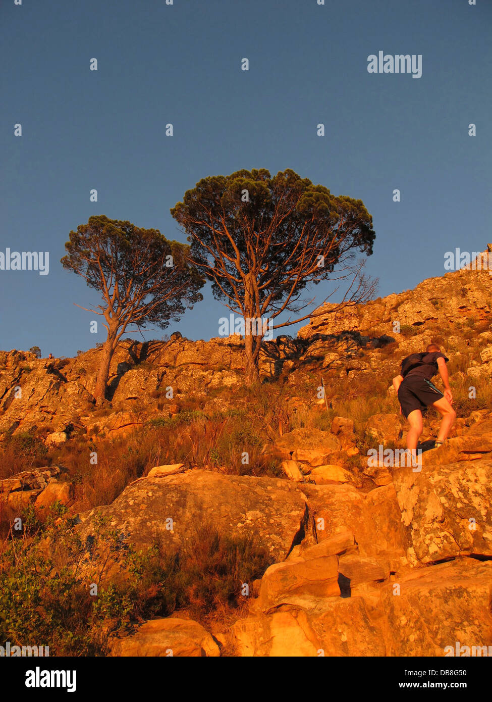 Les randonneurs au lever du soleil sur la tête de lion, Cape Town Banque D'Images