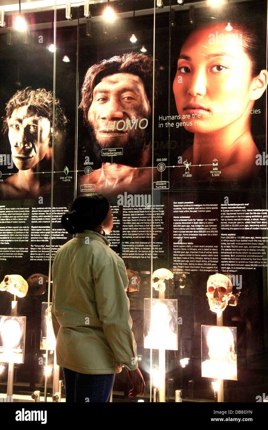 Le chemin d'humanité dans le Maropeng Visitors Centre, au berceau de l'humanité Site du patrimoine mondial Banque D'Images