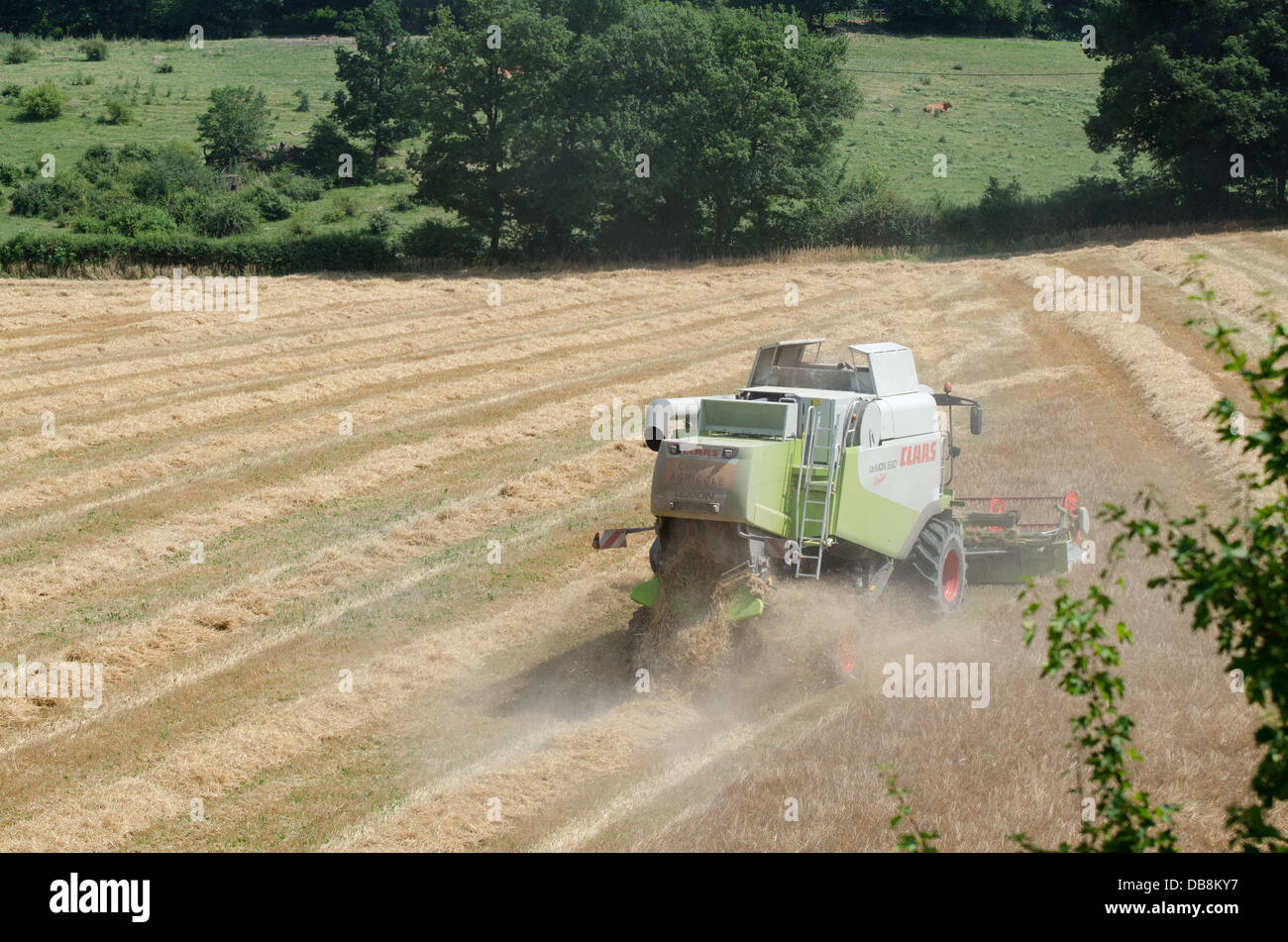 Moissonneuse-batteuse au travail dans un champ en France Banque D'Images