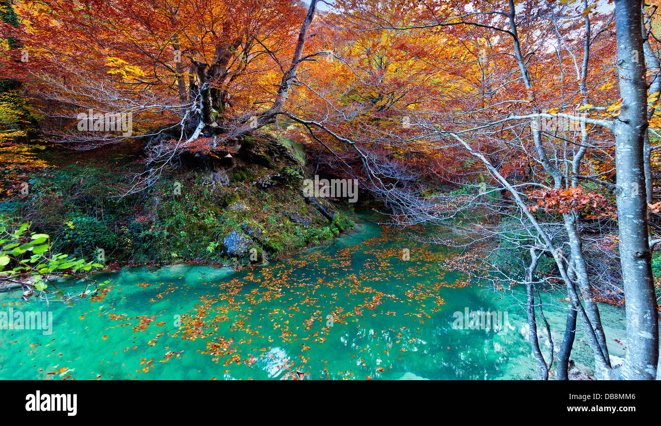 Beau paysage d'automne dans la région de Navarre.L'Espagne. Banque D'Images