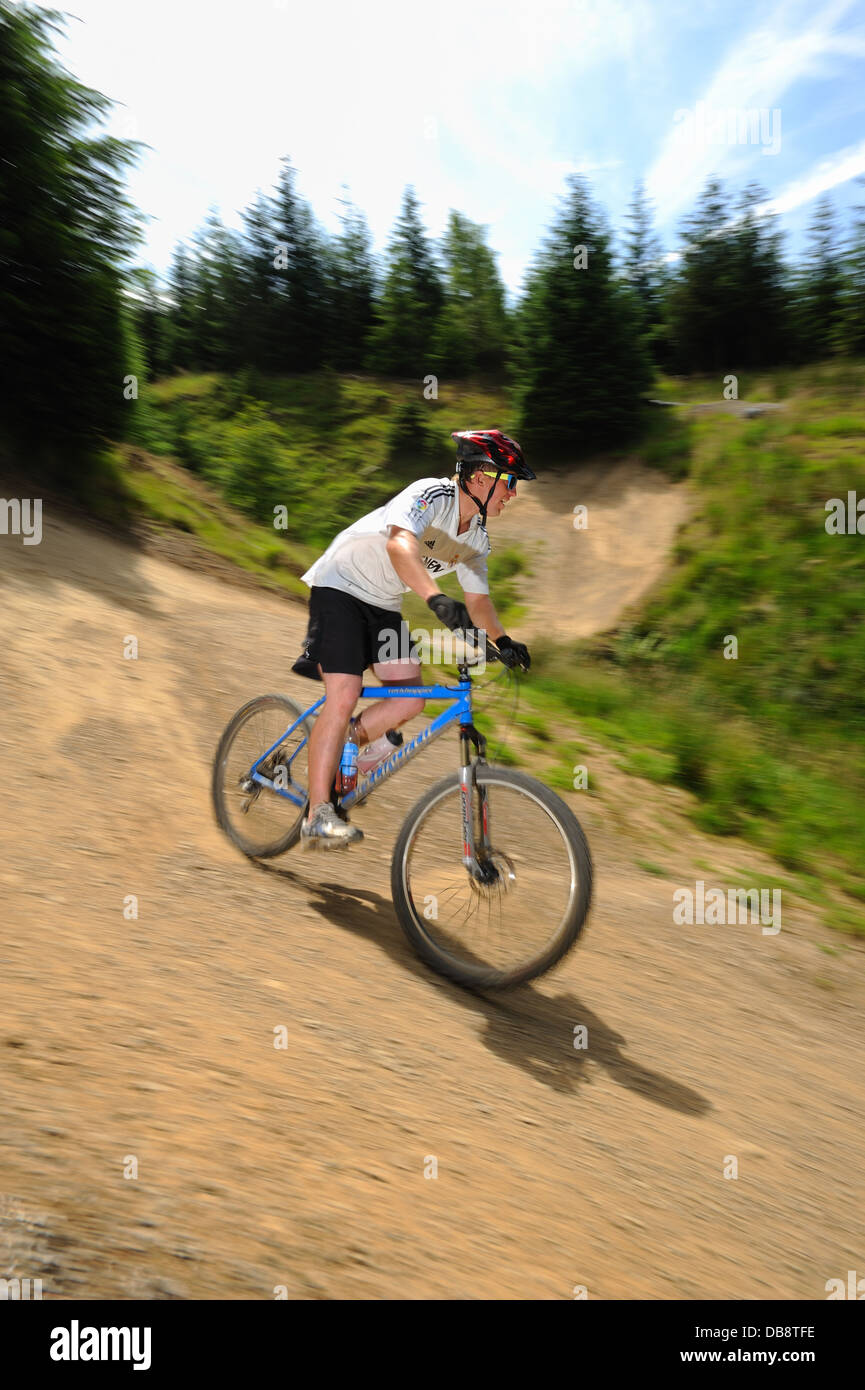 Vélo de montagne vtt à Gisburn Forest Banque D'Images