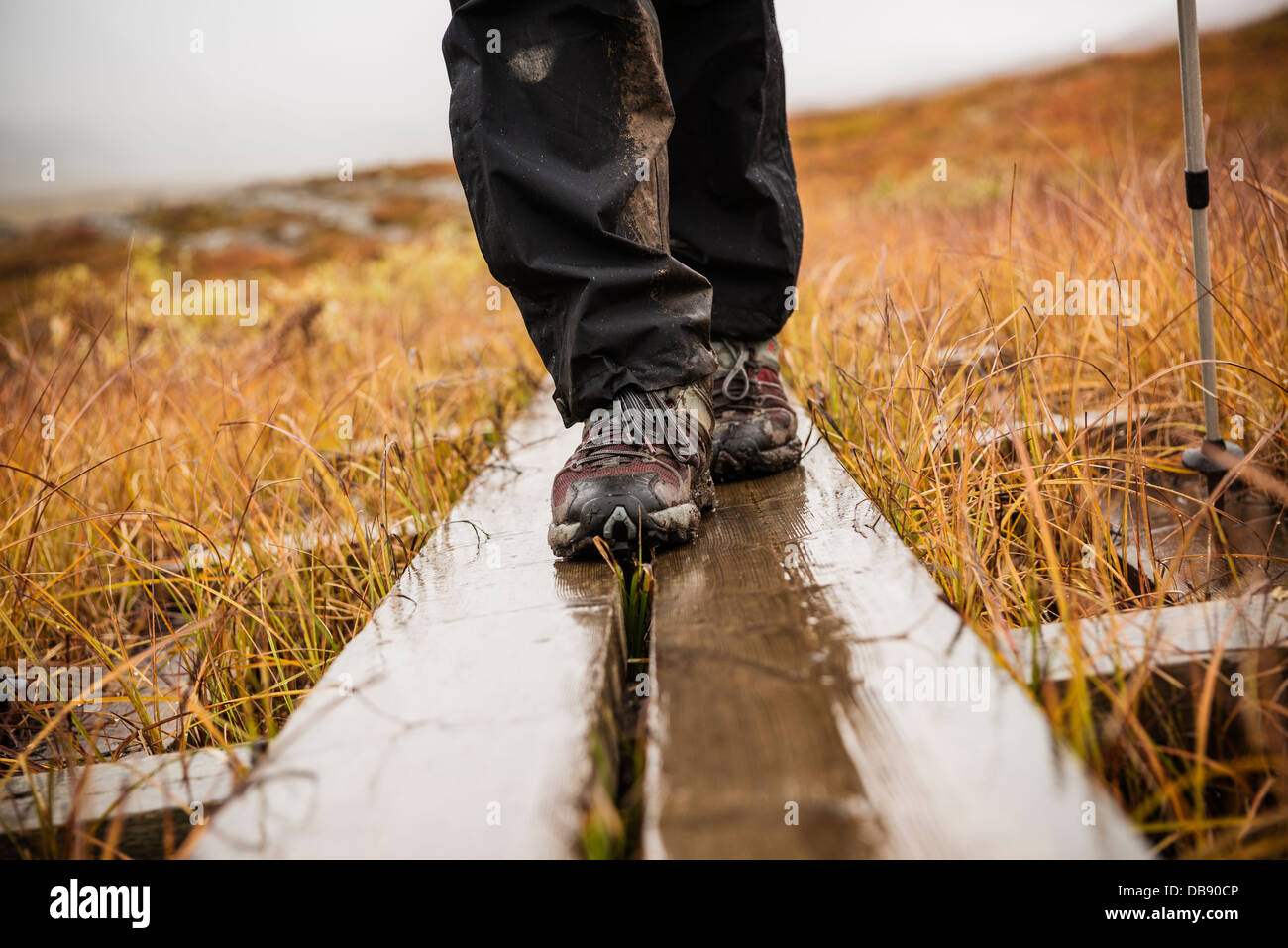 Détail de chaussures de randonnée marche sur des planches de bois dans la  pluie le long kungsleden trail, Laponie, Suède Photo Stock - Alamy