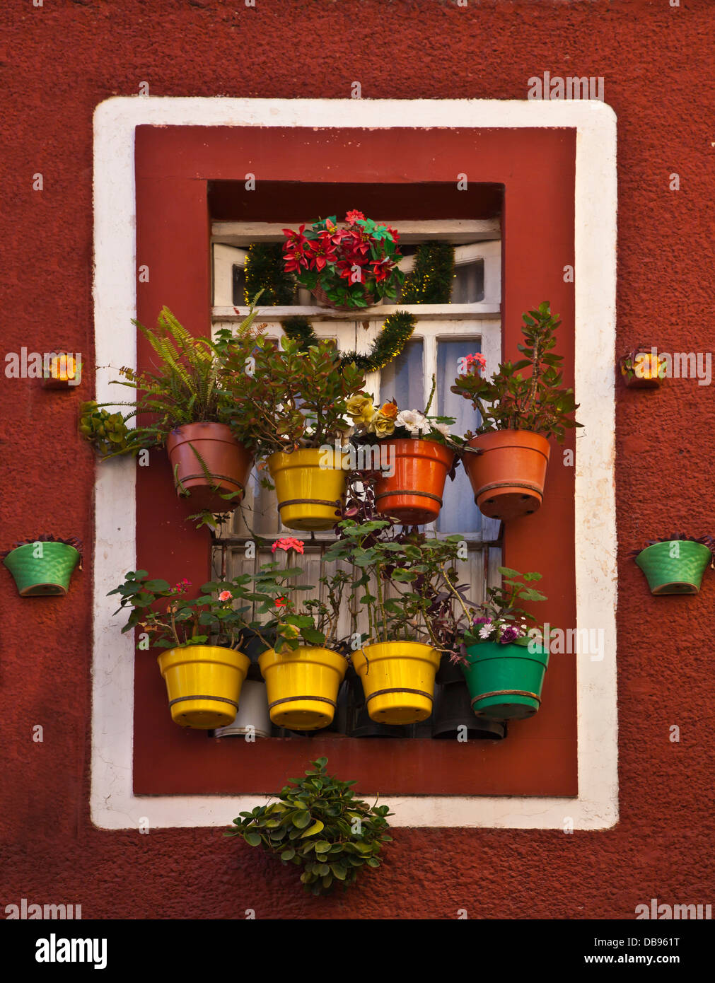 Plantes en pot suspendu à une fenêtre - Guanajuato, Mexique Banque D'Images