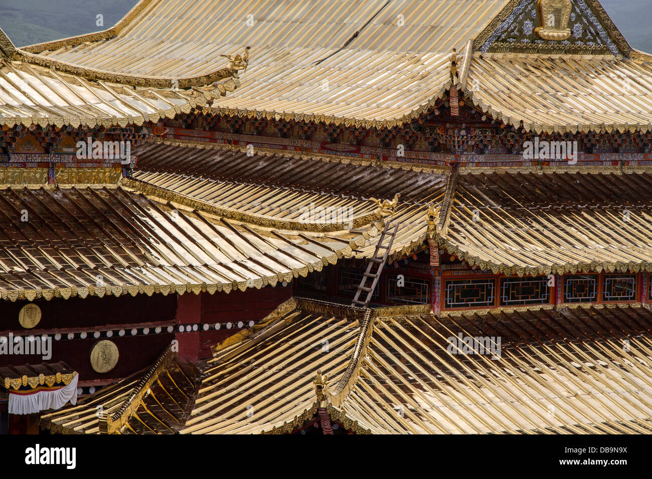 Petit toit d'or du temple Langmusi , Sichuan, Chine Banque D'Images