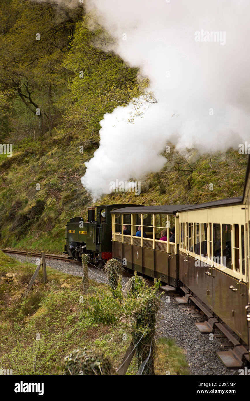 Royaume-uni, Pays de Galles, Aberystwyth, Ceredigion, Vale de lumière de Rheidol Railway train à destination de Devil's Bridge Banque D'Images