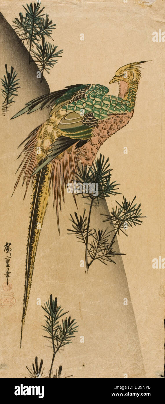 Cette peinture représente un faisan perché sur une falaise couverte de pins, une représentation classique de la nature dans l'est asiatique traditionnel L’œuvre met l’accent sur la beauté naturelle et l’harmonie entre les animaux et leur environnement. Banque D'Images