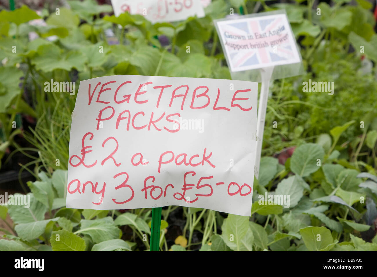 Packs de légumes à vendre market stall Cromer Norfolk Angleterre Banque D'Images