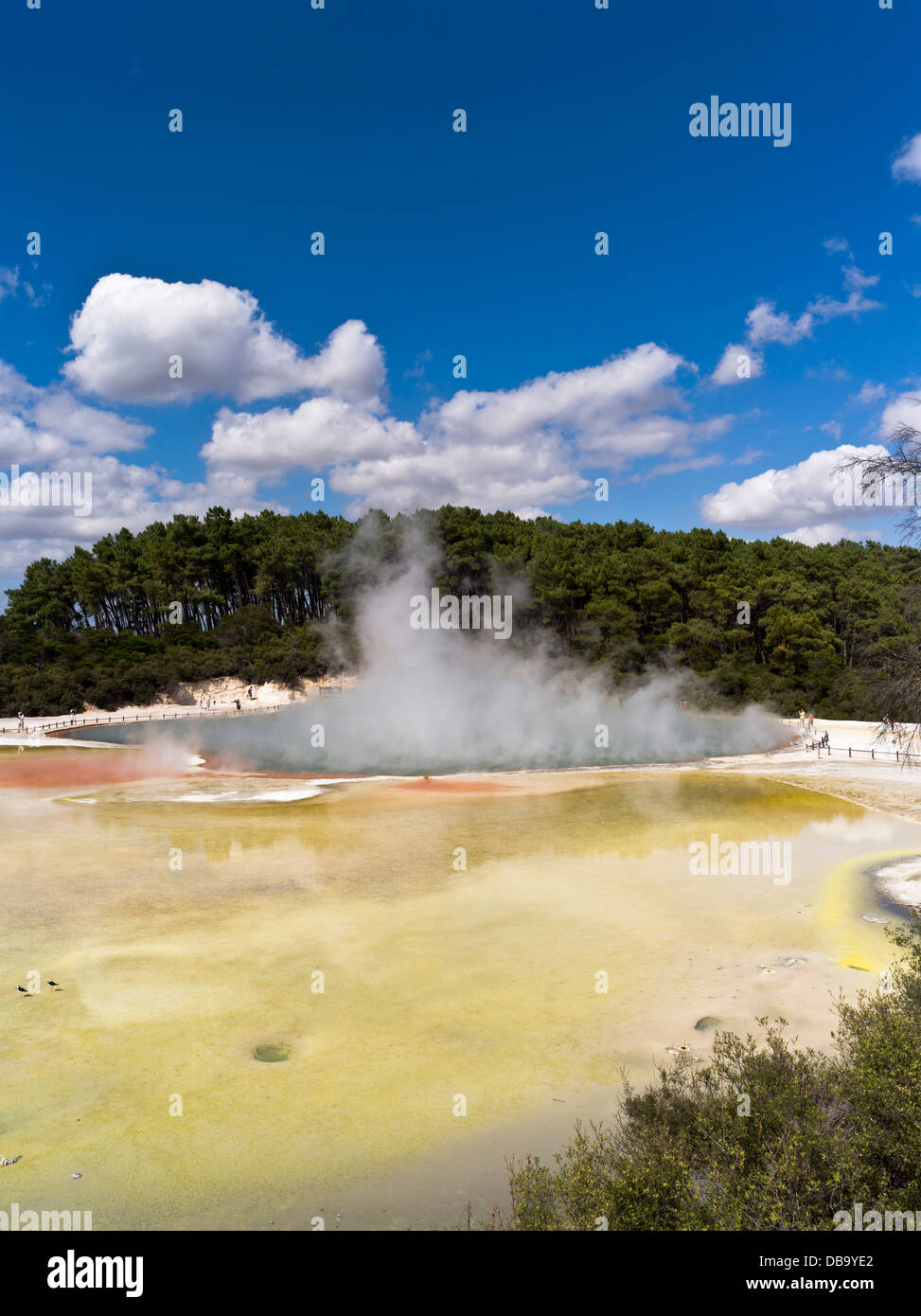 dh Wai O Tapu Thermal Wonderland WAIOTAPU ROTORUA NOUVELLE-ZÉLANDE NZ Steam Geothermal Champagne Pool Artists Palette Hot Spring jaune soufre Banque D'Images