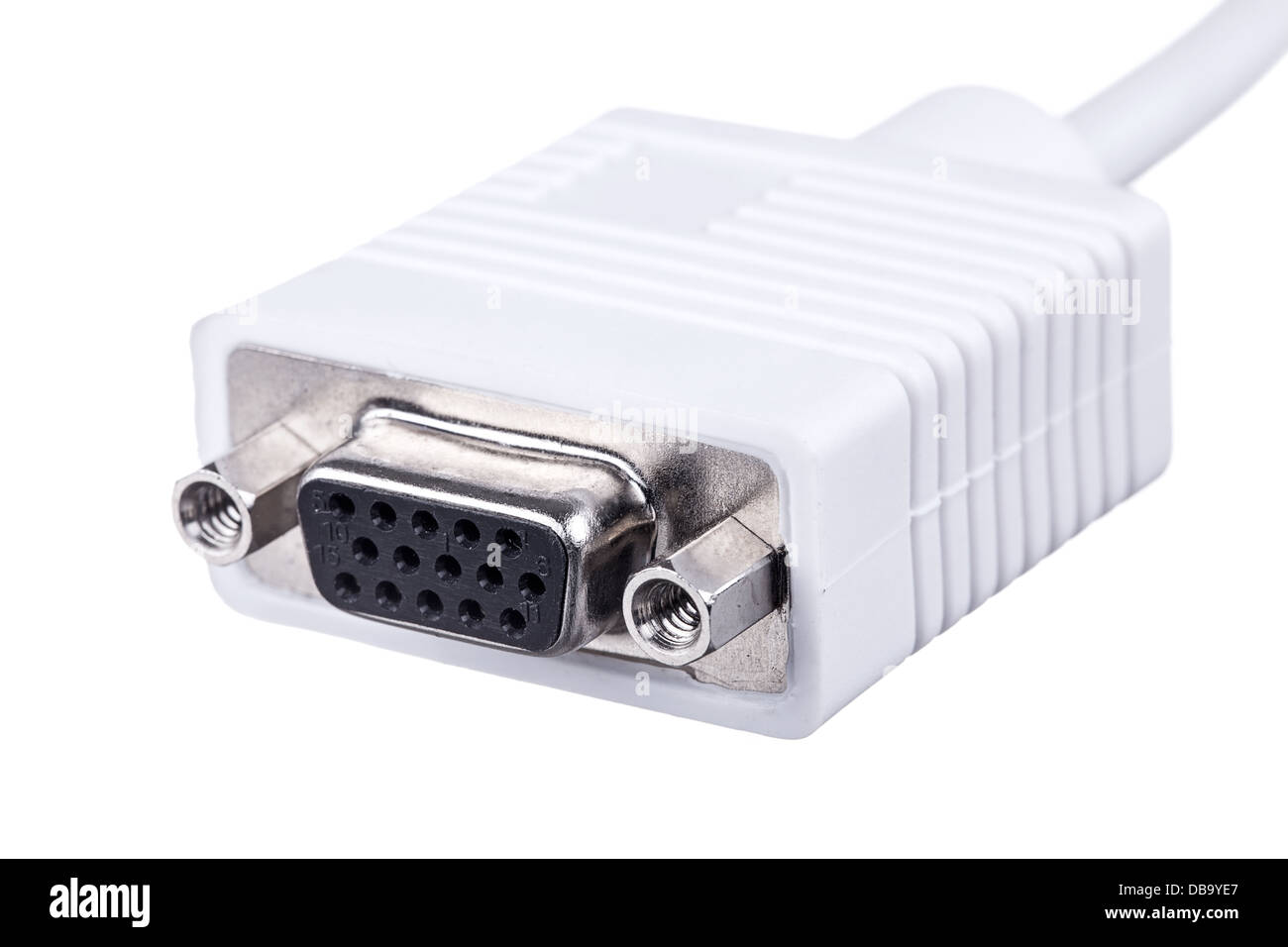 Adaptateur de câble DVI femelle isolé sur fond blanc Banque D'Images