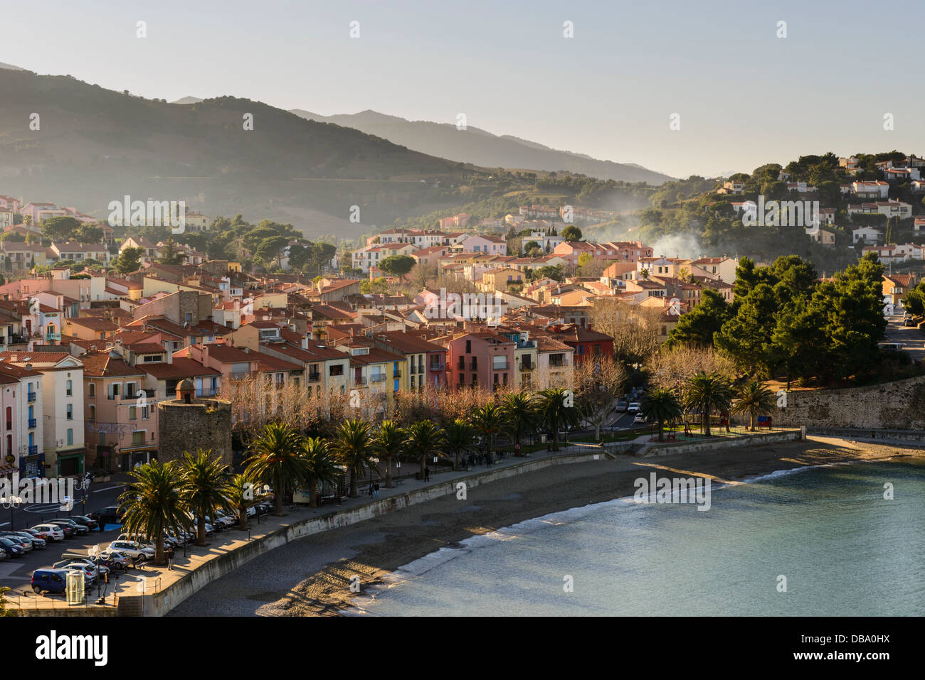 Vue sur le port d'Avall Beach à Collioure, Pyrénées Orientales, Languedoc Roussillon, France Banque D'Images