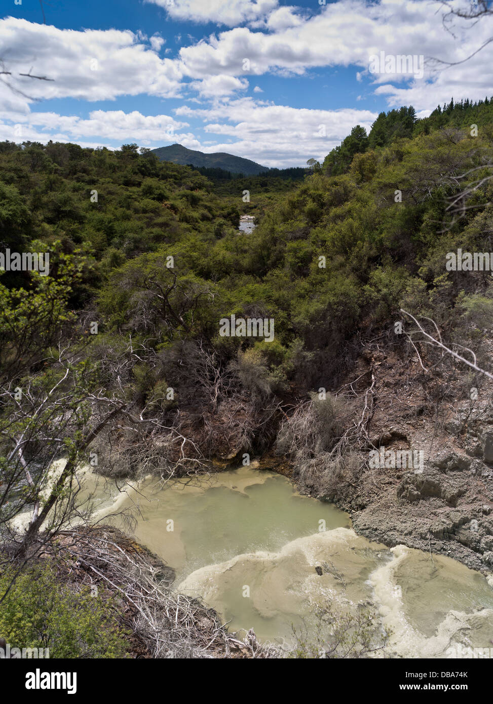 Dh Wai O Tapu WAIOTAPU Thermal Wonderland Nouvelle-zélande vert olive rivière sulphur par pays bush Banque D'Images