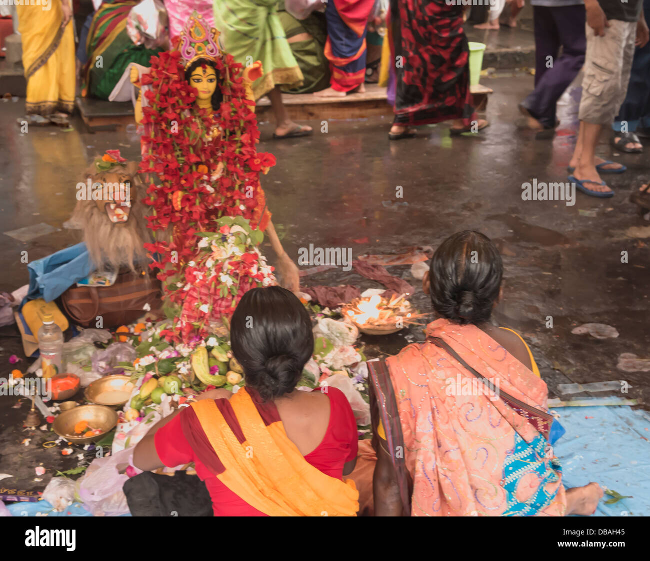 Femme Lion [RM]. Banque D'Images