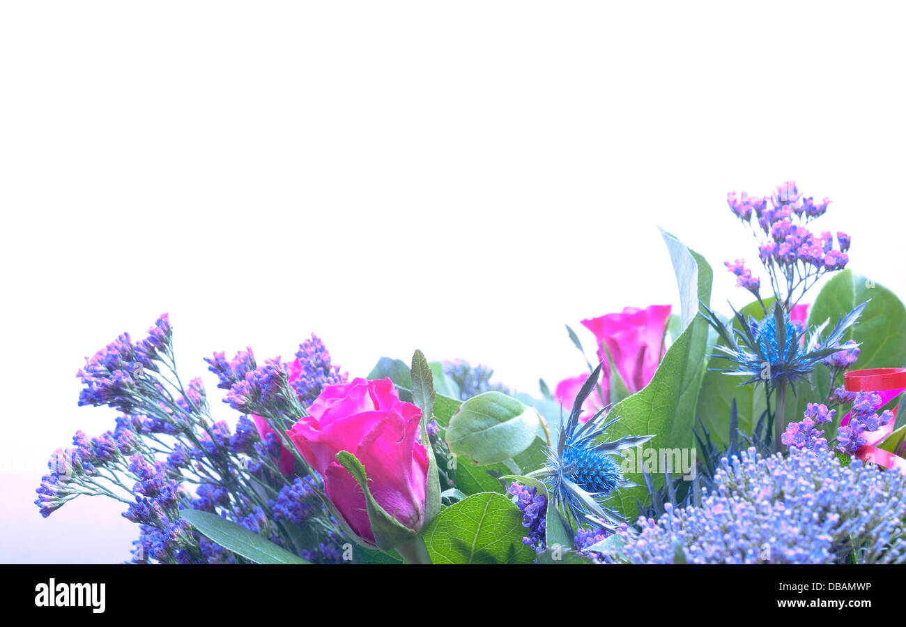 Une rangée de fleurs au bord inférieur de l'image, place à l'annonce Banque D'Images