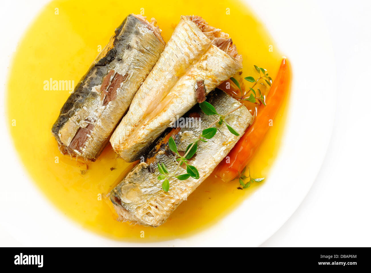 Sardines à l'huile d'olive extra vierge et de chili sur fond blanc Banque D'Images