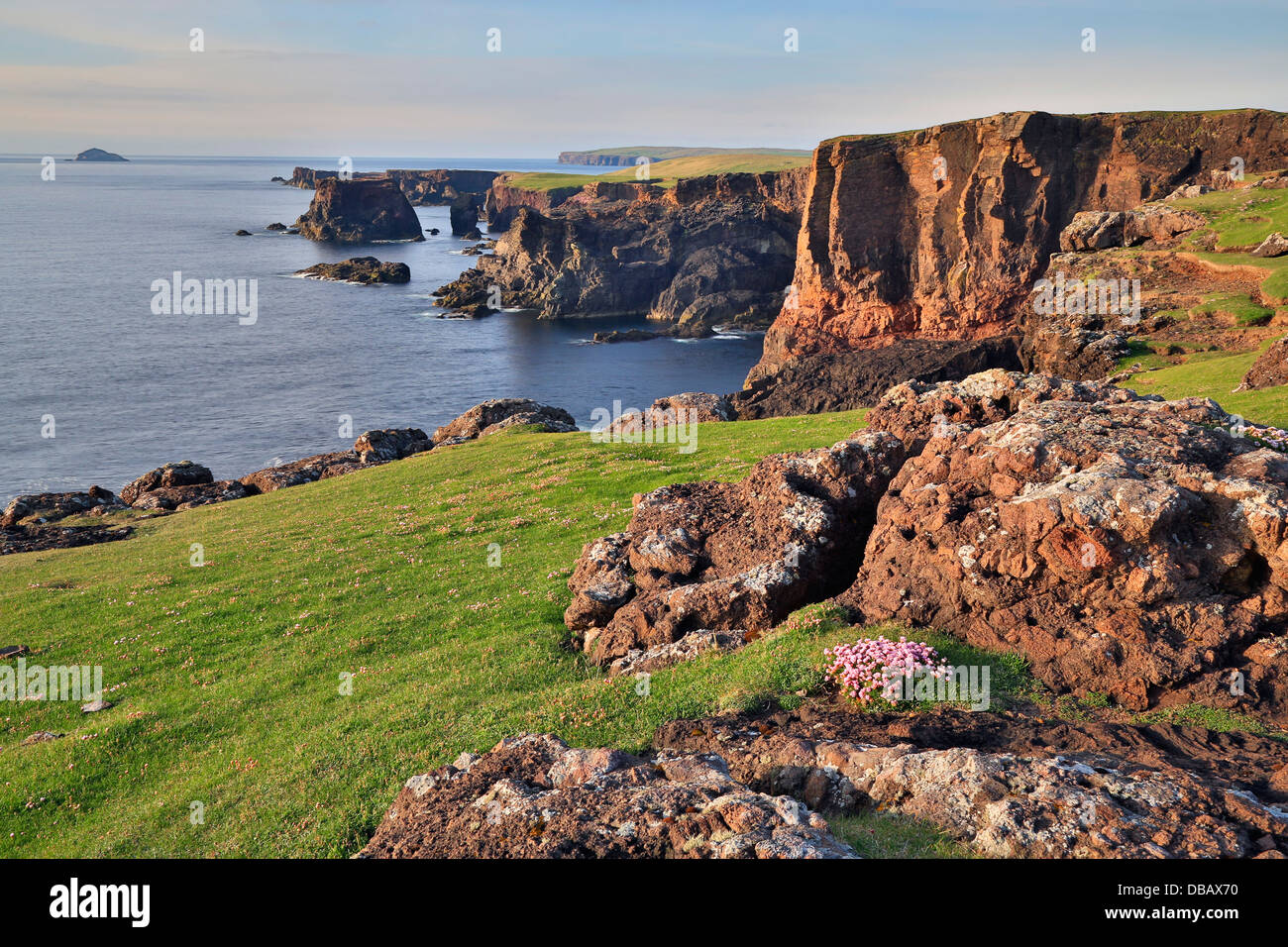 Eshaness falaises ; ; ; ; Royaume-Uni Shetland Banque D'Images