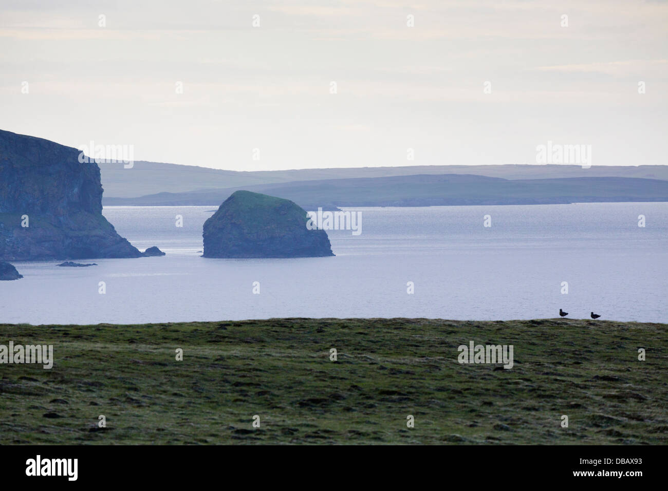 Aswan falaises ; ; ; Royaume-Uni Shetland Banque D'Images
