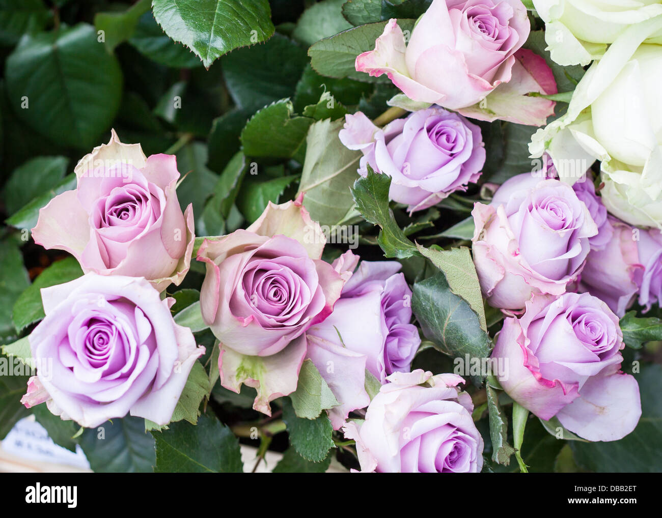 fleurs de mariage Banque D'Images