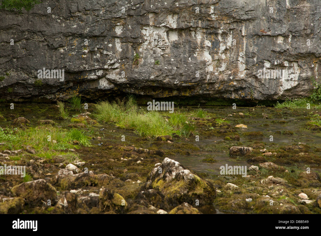 Malham Beck émergeant de la falaise Banque D'Images