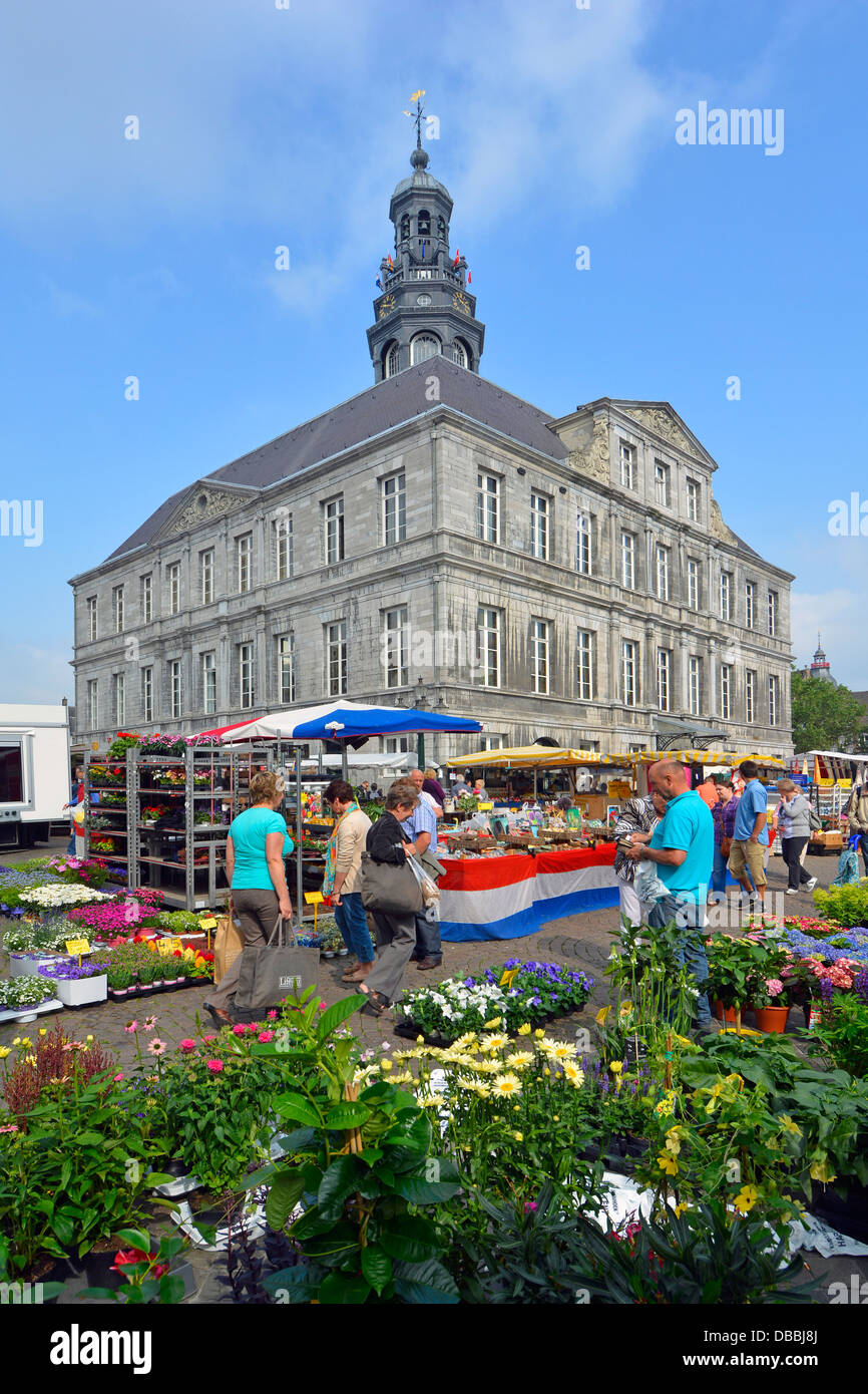 La place du marché de Maastricht est surplombée par les vendeurs de fleurs historiques de l'hôtel de ville au travail et les acheteurs regardant des fleurs à vendre Sunny Limburg pays-Bas Banque D'Images