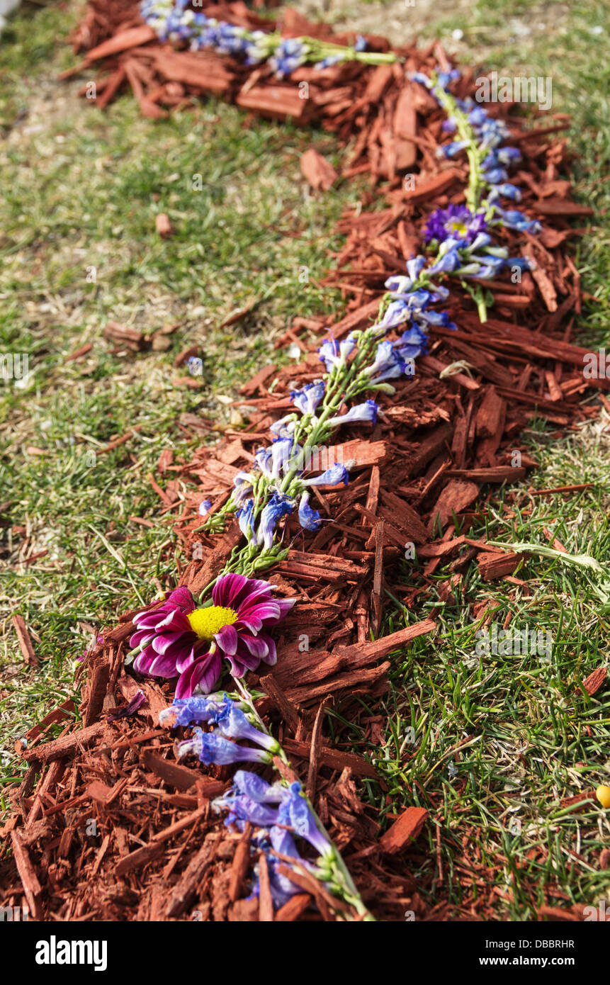 Décoration naturelle avec des fleurs sur le paillis d'écorce sur l'herbe Banque D'Images