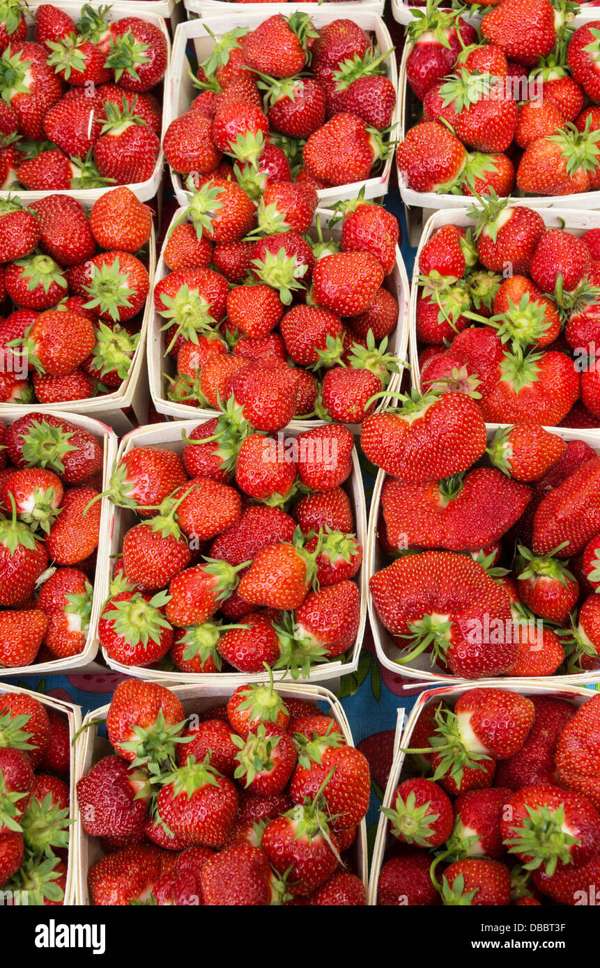 Fraises fraîches dans des paniers en vente sur un marché de producteurs Banque D'Images