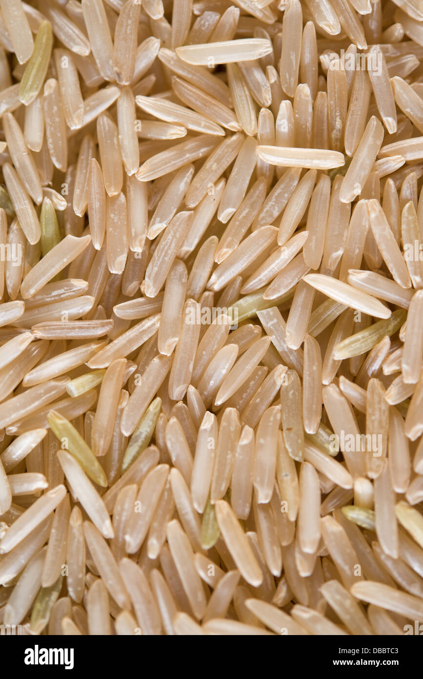 Close up Inde riz brun basmati biologiques crus. Banque D'Images