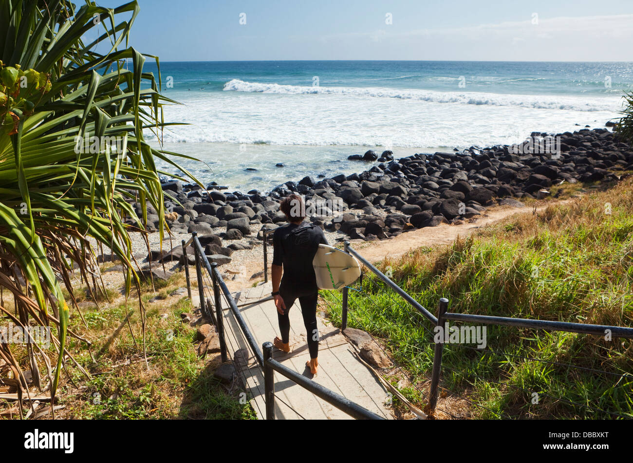 Surfer à pied jusqu'à la plage. Burleigh Heads, Gold Coast, Queensland, Australie Banque D'Images