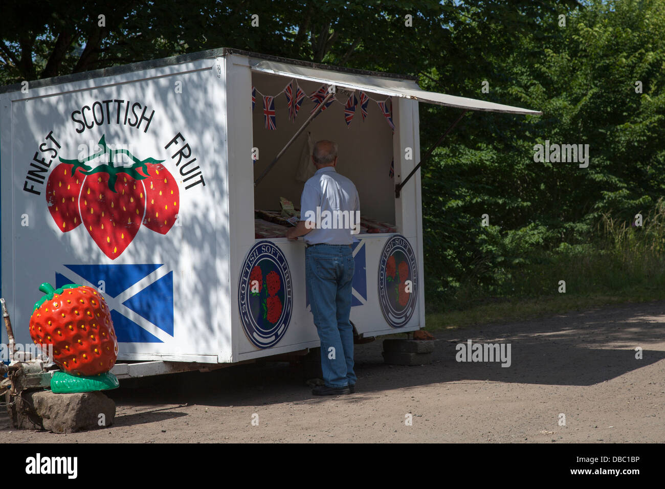 Kiosque vendant des fraises Banque de photographies et d’images à haute