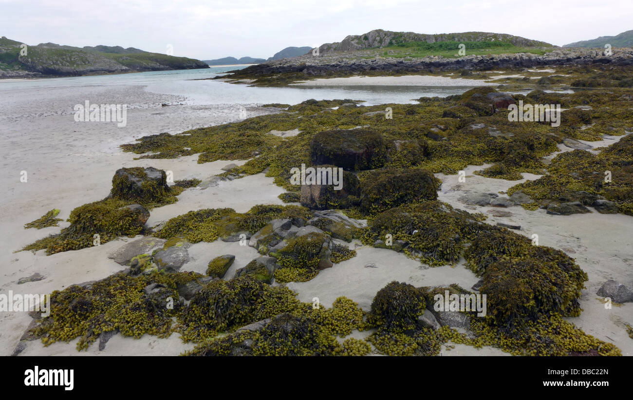 La plage à Knockvologan sur l'île de Mull en Écosse Banque D'Images