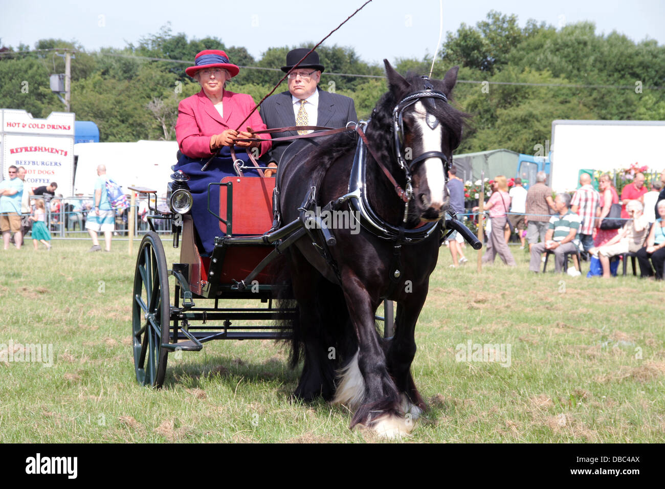 Chariot à deux roues tirée par un shire horse, entraîné par une vieille dame avec un monsieur âgé assis à ses côtés Banque D'Images