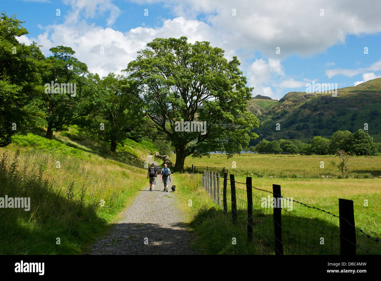 Couple - et de chien - balade le long d'un chemin vers Brotherswater, Parc National de Lake District, Cumbria, Angleterre, Royaume-Uni Banque D'Images