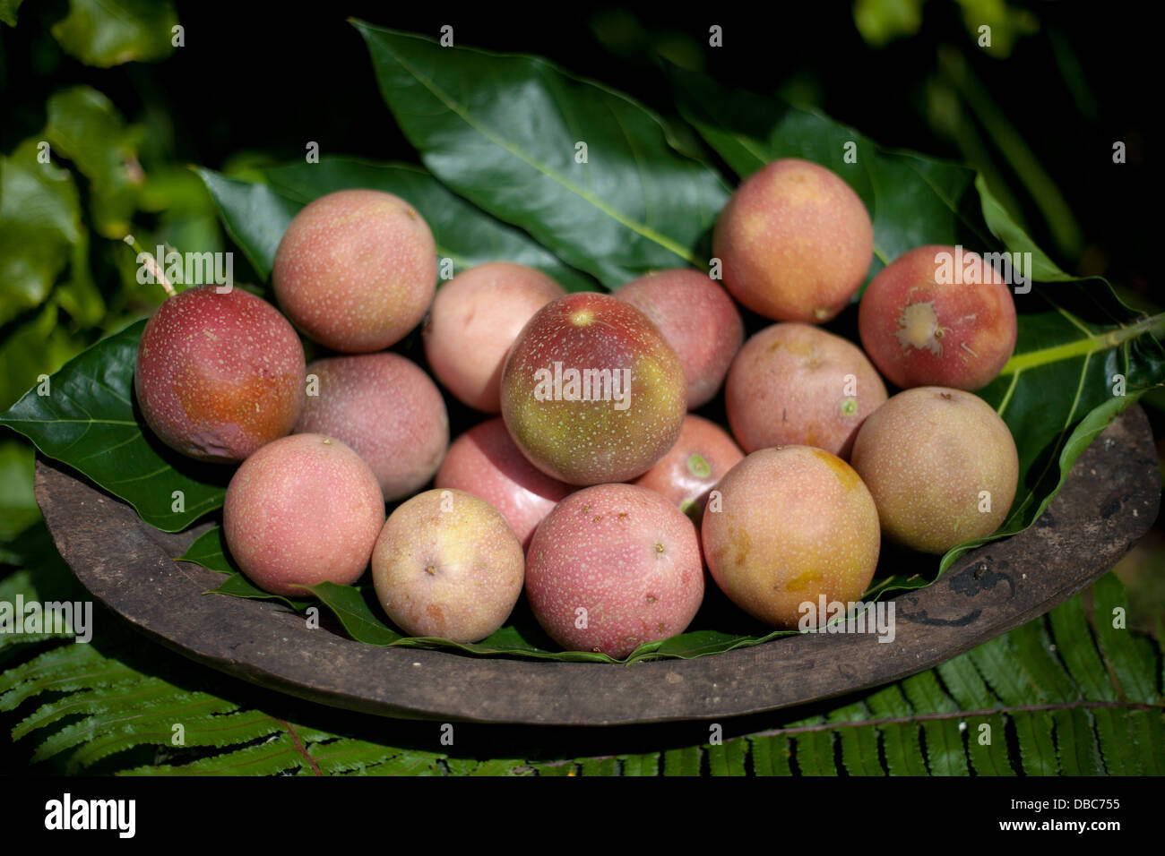 Fruit de la passion dans un bol en bois au marché de fruits biologiques dans l'île de Aitutaki, îles Cook Banque D'Images