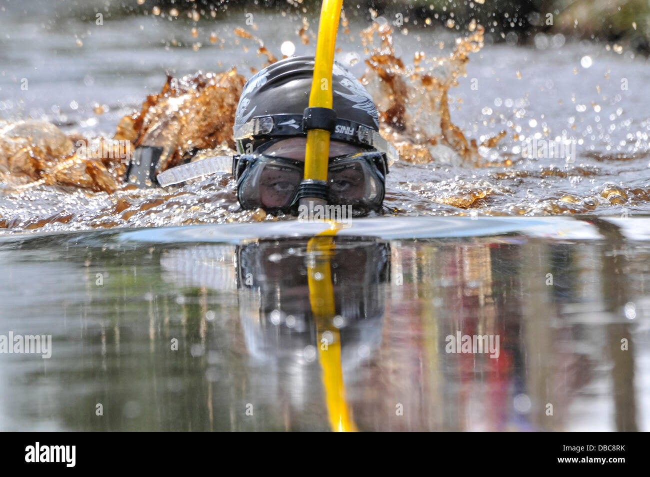 Dungannon, Irlande du Nord, 28 juillet 2013 - Championne du monde, Daneka Maguire casse son propre record du monde à l'Irlande du Nord 2013 Bog Snorkelling Championnat avec un temps de 1:32. Crédit : Stephen Barnes/Alamy Live News Banque D'Images