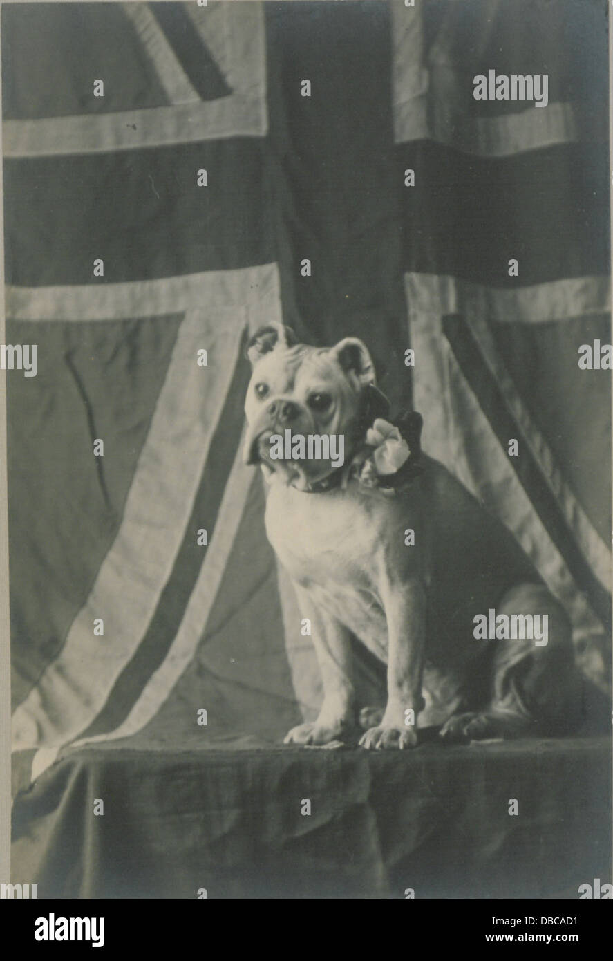 Cette image montre un personnage dans un costume de joker attendant un appel. Le costume et la pose suggèrent un décor théâtral ou de performance, capturant un moment avant un événement ou un spectacle. Banque D'Images